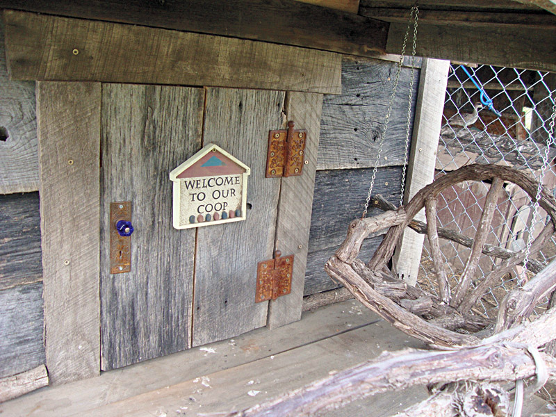 Haunted Chicken Coop Chicken Coops Special Issue Backyard Poultry